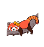 ハロー レッサーパンダ（個別スタンプ：12）
