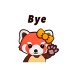 ハロー レッサーパンダ（個別スタンプ：16）