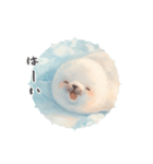 みっちりみちみちしてたアザラシ（個別スタンプ：4）