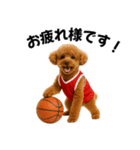 使える！バスケプードル（個別スタンプ：2）