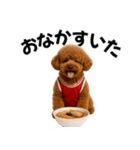使える！バスケプードル（個別スタンプ：32）