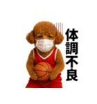 使える！バスケプードル（個別スタンプ：40）