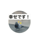人生って素敵（個別スタンプ：1）