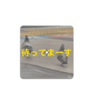 人生って素敵（個別スタンプ：2）