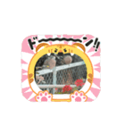 華麗なる庭（個別スタンプ：5）