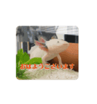 ウパうめ日記 よく使う編（個別スタンプ：7）