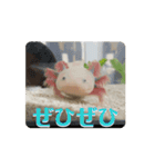 ウパうめ日記 よく使う編（個別スタンプ：9）