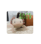 ウパうめ日記 よく使う編（個別スタンプ：10）