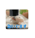 ウパうめ日記 よく使う編（個別スタンプ：15）