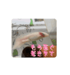 ウパうめ日記 よく使う編（個別スタンプ：16）