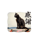 ニャンコとスケボー（個別スタンプ：9）