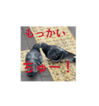 はといちゃ2（個別スタンプ：2）
