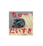 はといちゃ2（個別スタンプ：5）