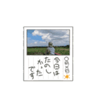 景色の動くスタンプ（個別スタンプ：5）