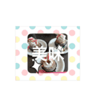 ぷちでざ〜と！（個別スタンプ：1）