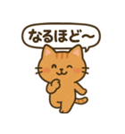 まるねこスタンプ：毎日使えるひとこと集（個別スタンプ：19）