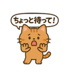 まるねこスタンプ：毎日使えるひとこと集（個別スタンプ：37）