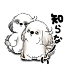 シーズー犬たち 「我が道を行く 時々素直」（個別スタンプ：4）