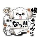 シーズー犬たち 「我が道を行く 時々素直」（個別スタンプ：9）
