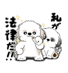 シーズー犬たち 「我が道を行く 時々素直」（個別スタンプ：10）