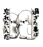 シーズー犬たち 「我が道を行く 時々素直」（個別スタンプ：11）