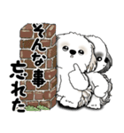 シーズー犬たち 「我が道を行く 時々素直」（個別スタンプ：12）