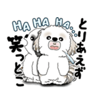 シーズー犬たち 「我が道を行く 時々素直」（個別スタンプ：13）