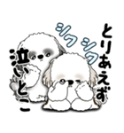 シーズー犬たち 「我が道を行く 時々素直」（個別スタンプ：14）