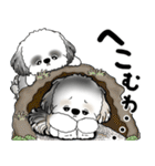 シーズー犬たち 「我が道を行く 時々素直」（個別スタンプ：18）