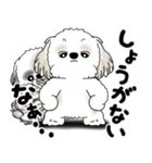 シーズー犬たち 「我が道を行く 時々素直」（個別スタンプ：22）