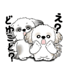 シーズー犬たち 「我が道を行く 時々素直」（個別スタンプ：25）