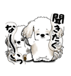 シーズー犬たち 「我が道を行く 時々素直」（個別スタンプ：27）