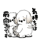 シーズー犬たち 「我が道を行く 時々素直」（個別スタンプ：31）