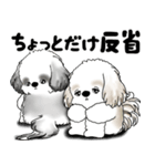 シーズー犬たち 「我が道を行く 時々素直」（個別スタンプ：35）