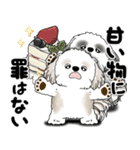 シーズー犬たち 「我が道を行く 時々素直」（個別スタンプ：38）