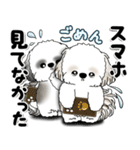 シーズー犬たち 「我が道を行く 時々素直」（個別スタンプ：39）