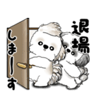 シーズー犬たち 「我が道を行く 時々素直」（個別スタンプ：40）