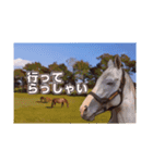 ギーギーのエゴンウレア2（個別スタンプ：11）