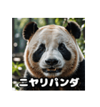 ゆるかわパンダの感情大集合！（個別スタンプ：1）