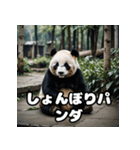 ゆるかわパンダの感情大集合！（個別スタンプ：3）
