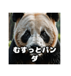 ゆるかわパンダの感情大集合！（個別スタンプ：8）