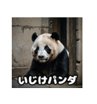 ゆるかわパンダの感情大集合！（個別スタンプ：10）