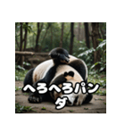 ゆるかわパンダの感情大集合！（個別スタンプ：12）