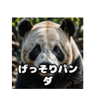 ゆるかわパンダの感情大集合！（個別スタンプ：13）