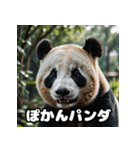 ゆるかわパンダの感情大集合！（個別スタンプ：16）