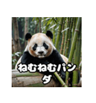 ゆるかわパンダの感情大集合！（個別スタンプ：17）
