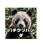 ゆるかわパンダの感情大集合！（個別スタンプ：23）