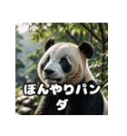 ゆるかわパンダの感情大集合！（個別スタンプ：25）