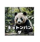ゆるかわパンダの感情大集合！（個別スタンプ：26）
