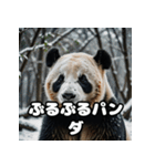 ゆるかわパンダの感情大集合！（個別スタンプ：27）